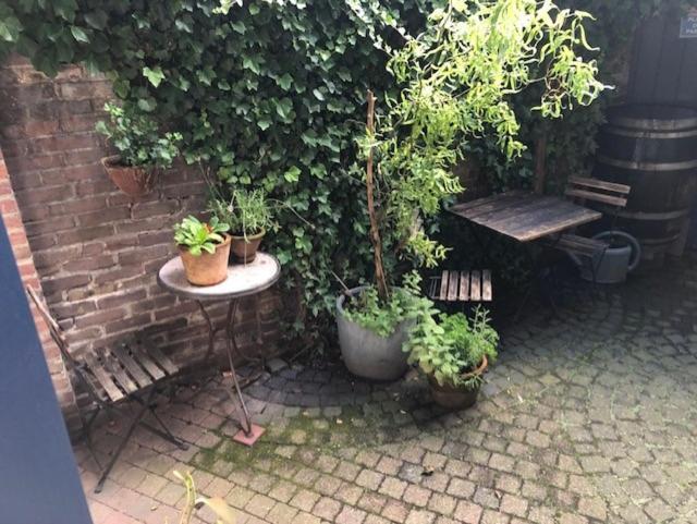 Logis Pastis Hotel Maastricht Bagian luar foto
